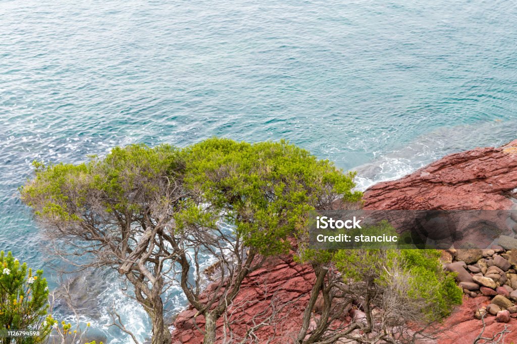 Marine red folded rocks in Ben Boyd National Park, NSW, Australia Australia Stock Photo