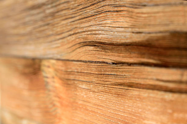 istock Texture of wood background 1126794710