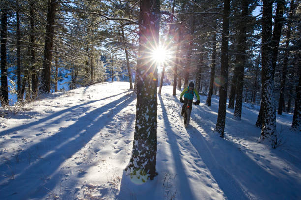 冬 fatbike 乗る - rocky mountains canada mountain winter ストックフォトと画像