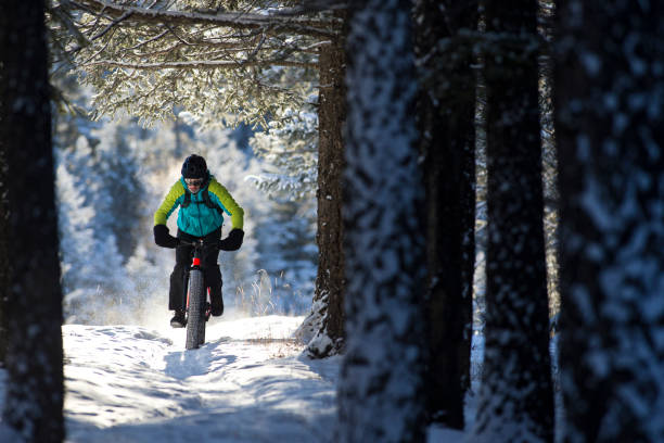 冬 fatbike 乗る - rocky mountains canada mountain winter ストックフォトと画像