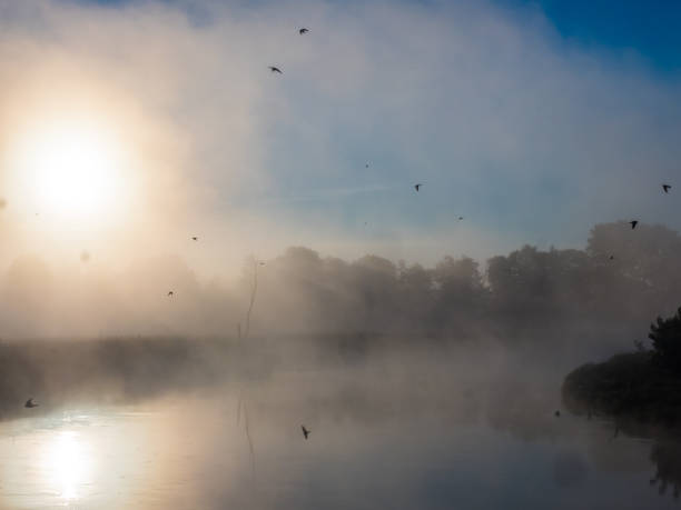 istock podlasie, Podlachia, Podlasko, Podlasze 1126795018