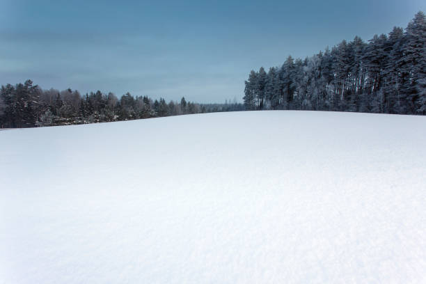 istock winter landscape with the snow field and forest 1126797360