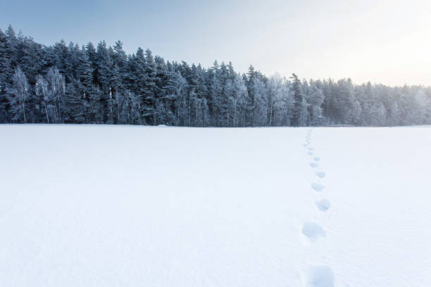 istock Winter landscape with a man on the snow field and steps 1126797376