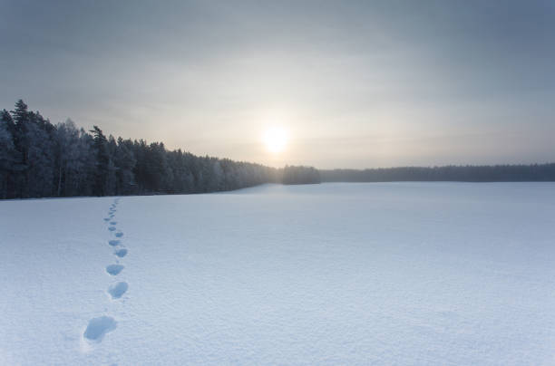 istock Winter landscape with a man on the snow field and steps 1126797379