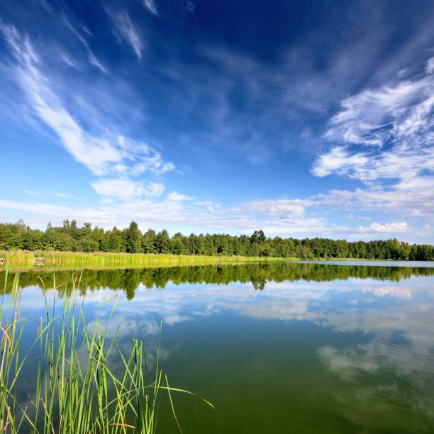 istock Lake landscape with beautiful reflection of a sky 1126799041