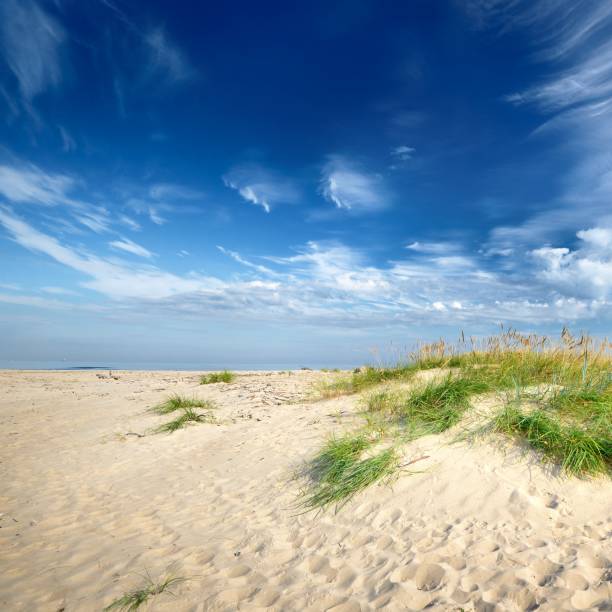 istock Baltic sea shore sandy beach against blue sky 1126799044