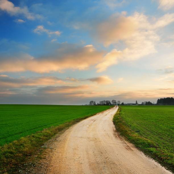 istock Beautiful sunrise over the green field in Lithuania 1126799620