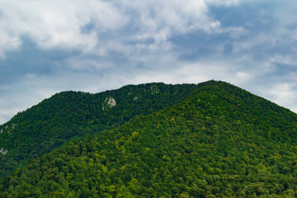 istock Mountain landscape in summer. Mountain with green trees. Dramatic clouds in the sky. 1126800312