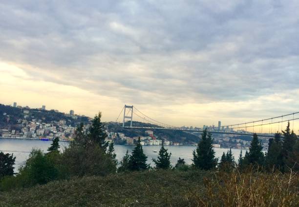 istock Fatih Sultan Mehmet Bridge in Istanbul 1126801553