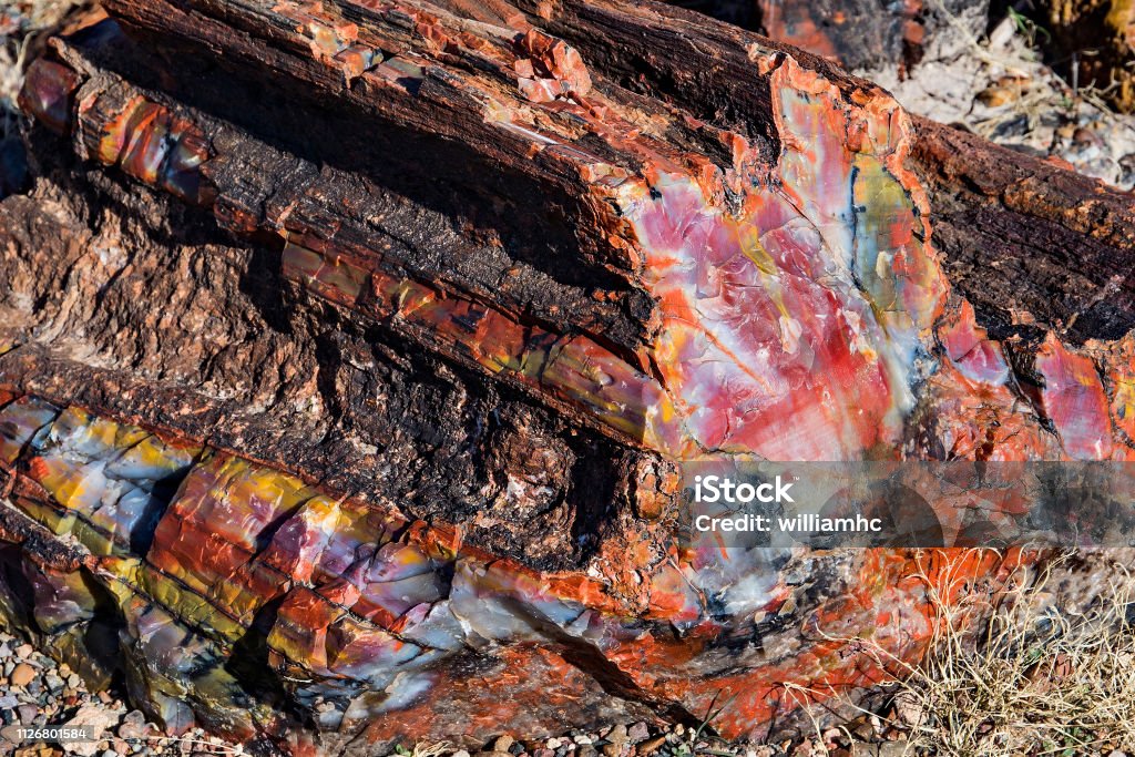 Colorful crystals in a petrified log in Petrified Forest National Park in Arizona Colorful crystals in petrified logs Petrified Wood Stock Photo