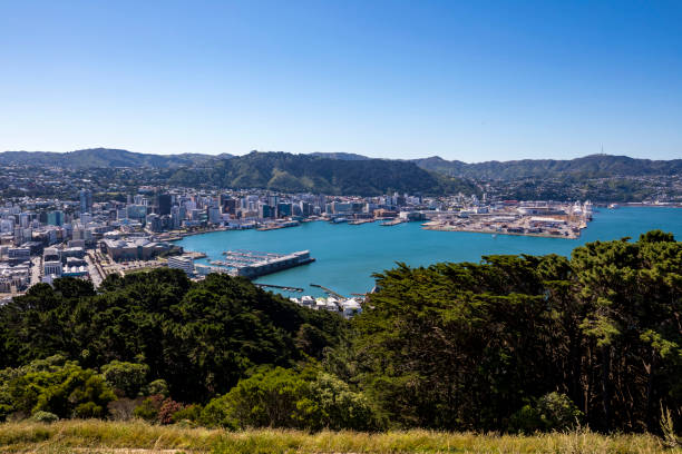 istock Wellington City Centre 1126803472