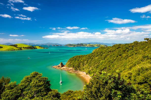 Bay of Islands, New Zealand Bay of Islands, New Zealand northland new zealand stock pictures, royalty-free photos & images
