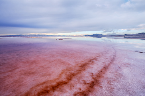Pink salt water at northern part of  Great Salt Lake,Utah
