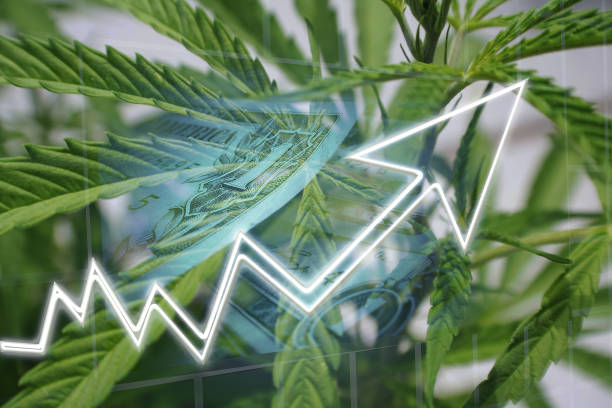 profitti dell'industria della cannabis - nasdaq dow jones industrial average stock market finance foto e immagini stock