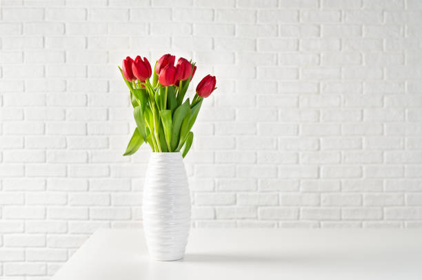 rote tulpen in weiße vase vor weißen steinen hintergrund - flower white tulip blossom stock-fotos und bilder