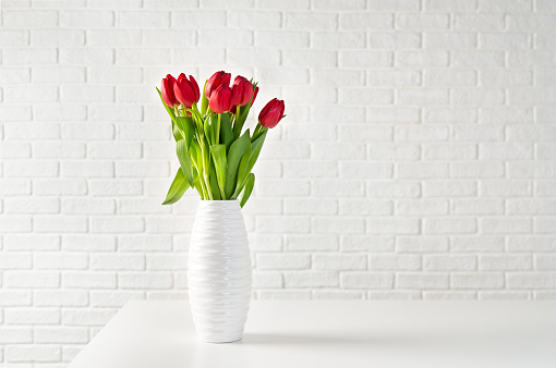 Red tulips in white vase against white bricks background. Copy space