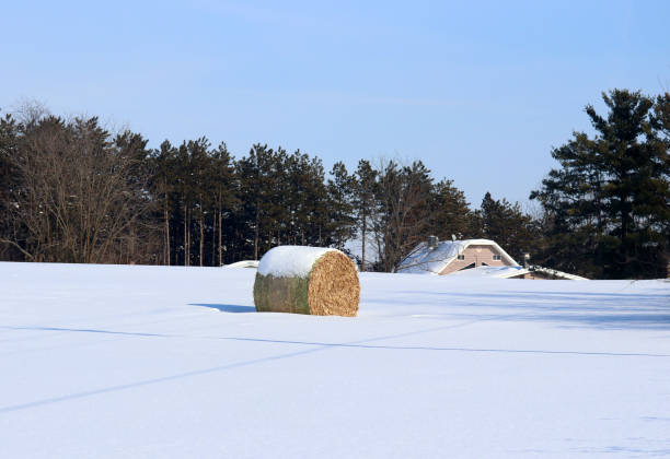 istock Agriculture and rural life at winter background. 1126817332