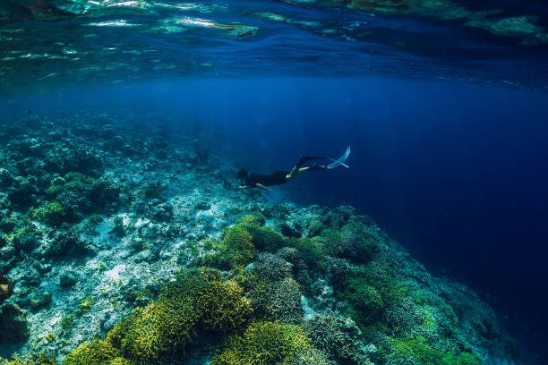 istock Free diver underwater in blue ocean 1126822006