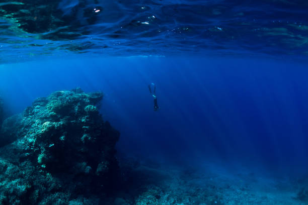 istock Free diver dive in ocean, underwater view with rocks 1126822022