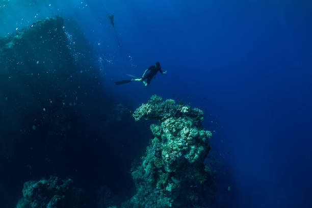 istock Free diver underwater in ocean with rocks and corals 1126822549