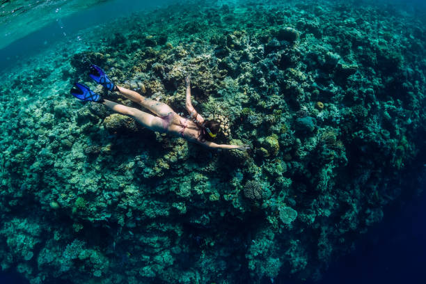 istock Woman in bikini dive in tropical ocean 1126822593