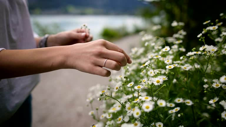 Woman picking up Daisies