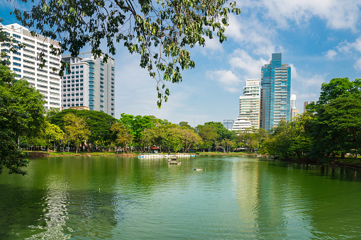 Lumphini Park. which  is a public park in downtown Bangkok, Thailand