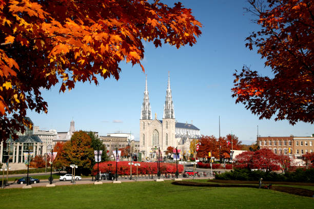 istock Notre-Dame Cathedral Basilica in Autumn 1126827628