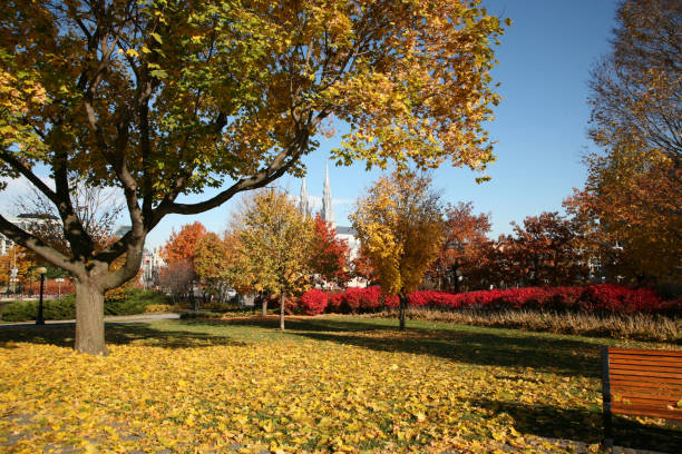 Autumn in Plymouth, New Hampshire, USA