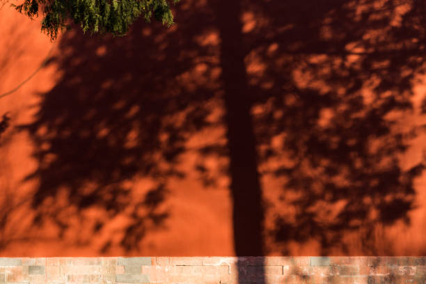 istock trees shadow on the red wall in the forbidden city 1126827658