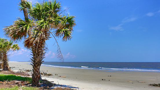 Beach at South Carolina