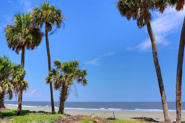 Beach at South Carolina Beach at South Carolina kiawah island stock pictures, royalty-free photos & images