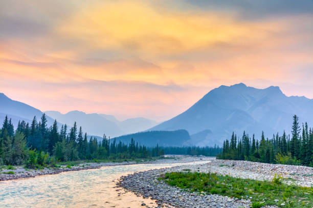 istock Jasper National Park in Alberta Canada 1126834566