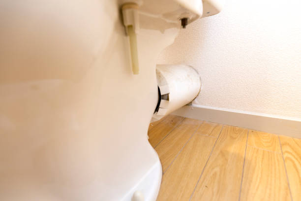 istock Japanese toilet bowl 1126834595