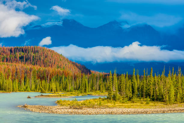 istock Jasper National Park in Alberta Canada 1126834744