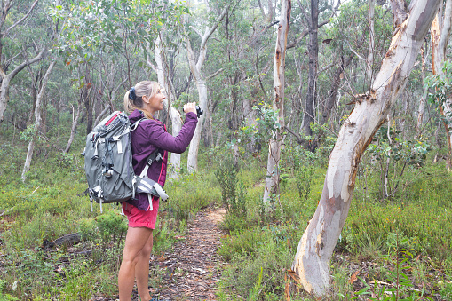 Female in bushland hike through tall gum trees and eucalyptus trees and small shrubs.  She is holding binoculars in her hand and wearing cotton shots and tank top with over jacket and a backpack
