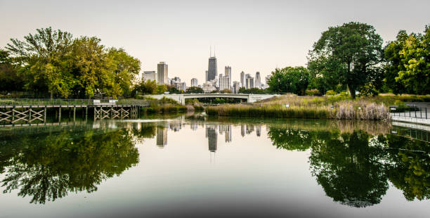 Chicago Skyline Boardwalk Reflection Photo taken at the Nature Boardwalk in Lincoln Park, Chicago. aon center chicago photos stock pictures, royalty-free photos & images