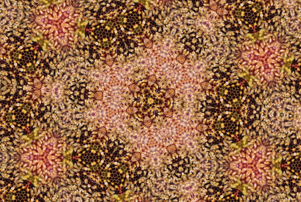 Beehives are naturally Repetitive and Uniformly Set Out. Extending on the Hexagonal Nature of Beehives, the Hive has bee manipulated to makes Mandalas. These are Digitally Designed Modern Style Nature Inspired Mandalas of Honey Bees, Honey Comb & Beehives from my Photographic Images.