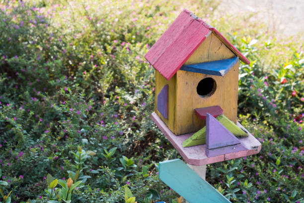 istock Bird house in a park. 1126839591