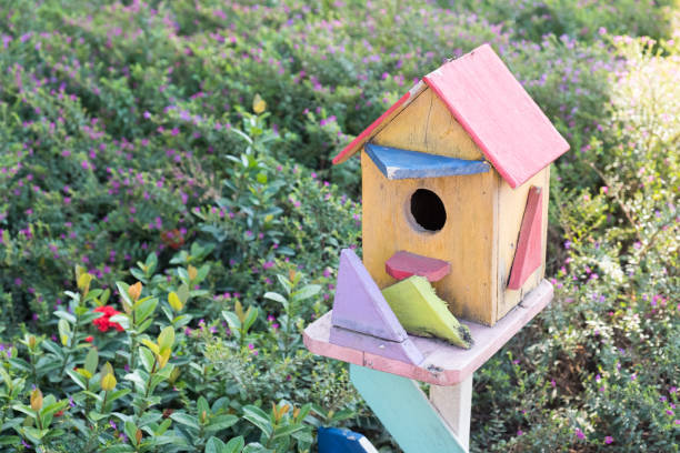 istock Bird house in a park. 1126839598