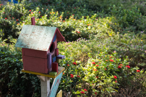 istock Bird house in a park. 1126839599