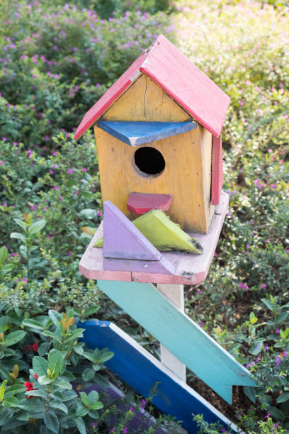 istock Bird house in a park. 1126839613
