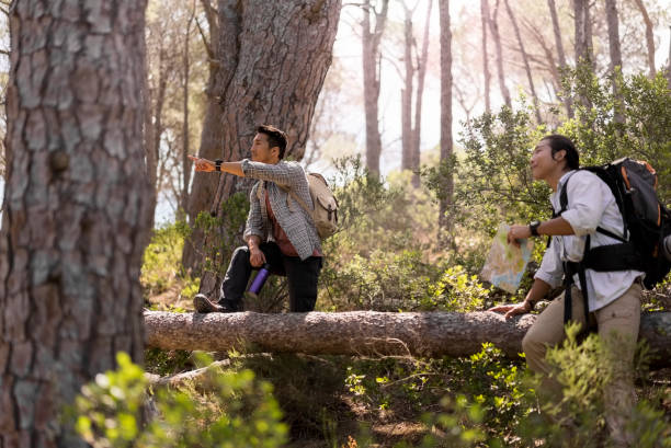 istock Hiker showing something to male friend in forest 1126839862