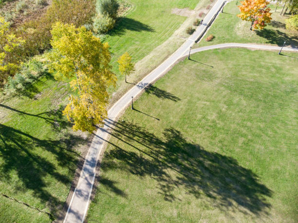 istock aerial image. trees with orange dry foliage growing alongside park footpath 1126842691