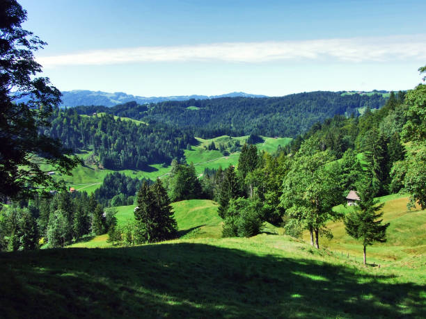 istock Subalpine forests in the Ostschweiz region 1126844399