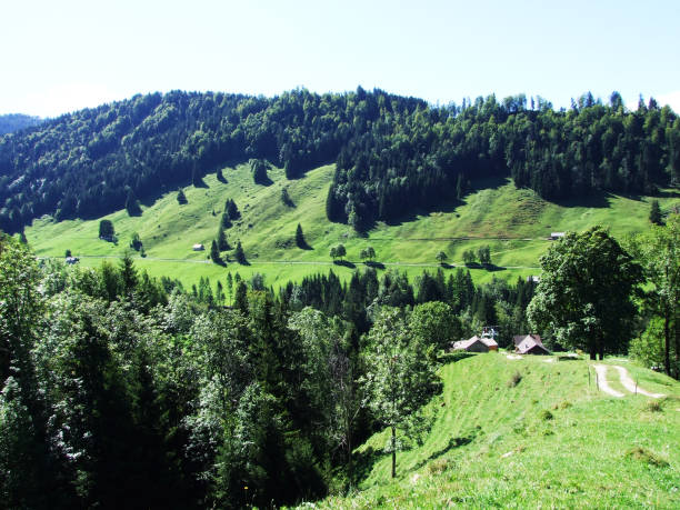 istock Subalpine forests in the Ostschweiz region 1126844403