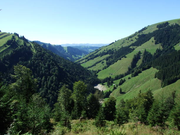 Subalpine forests in the Ostschweiz region