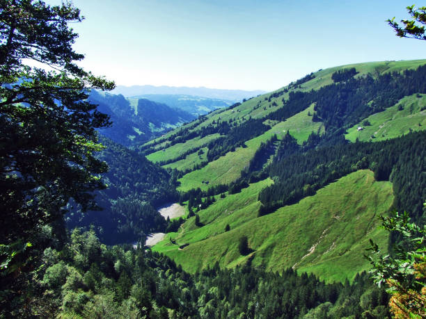 istock Subalpine forests in the Ostschweiz region 1126844434