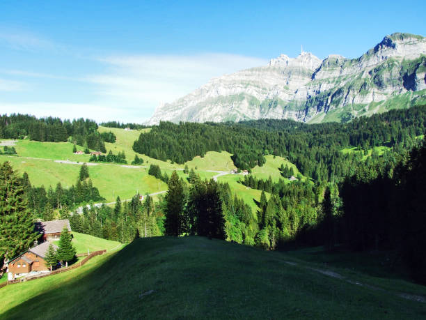 istock Subalpine forests in the Ostschweiz region 1126844460
