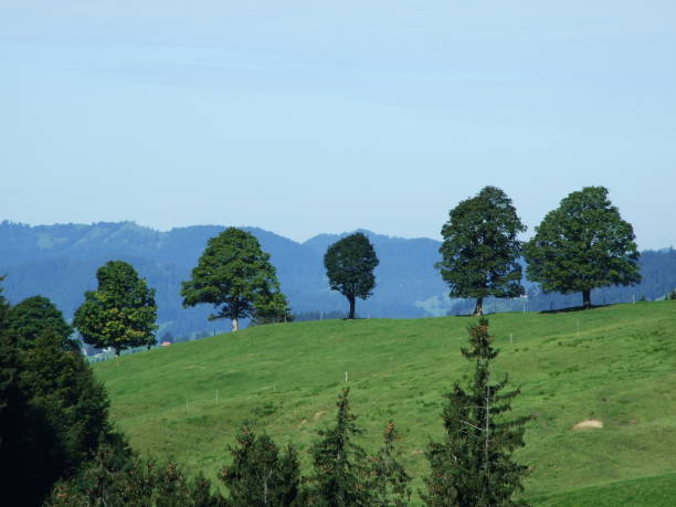 istock Picturesque hills, forests and pastures in Ostschweiz 1126845908